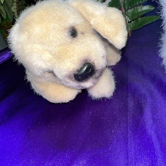 📌 Galerie Two Cute Dogs, Plush Stuffed Animals - Picture 3 of 15
